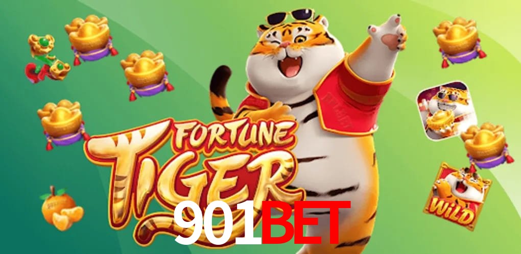 Experiência VIP 901BET